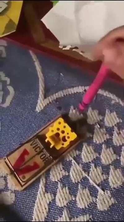 Professional trap tester