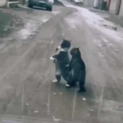 Hitcat using the lost Dance Fighting technique.