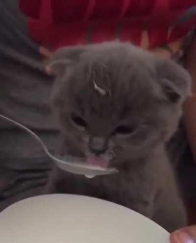 In case you were having a bad day