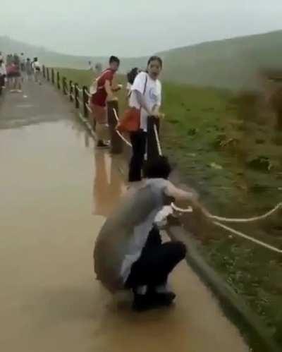 Trying to avoid the puddle