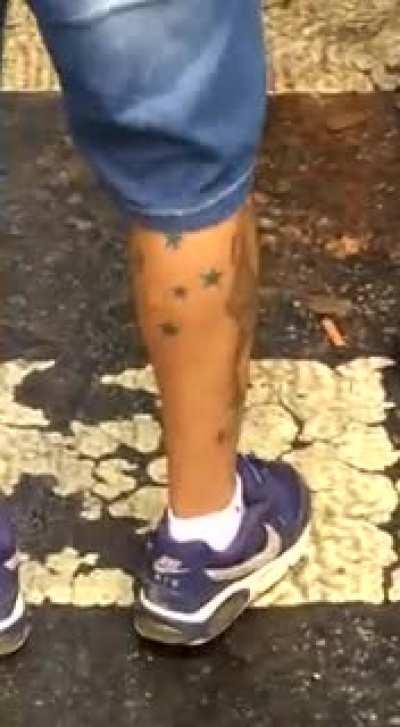 Em Minas já começou a grande migração.