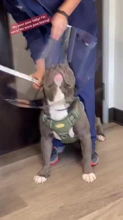 Вы че, совсем ебобо?