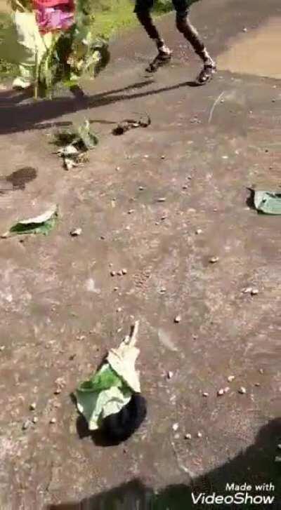 Sets fire on himself🔥