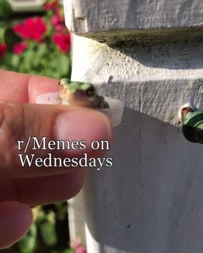 It is Wednesday