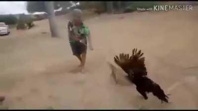 TOP 10 LUTAS DOS ANIMES