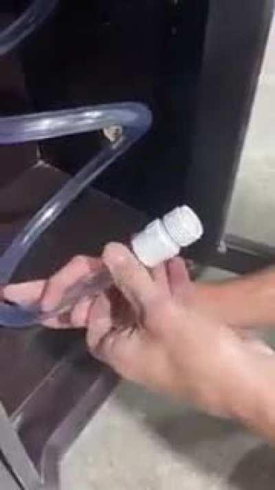 Я такую дичь даже и придумать не смог бы.