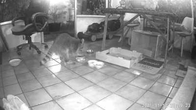 A visitor who loves to wash hands after each meal
