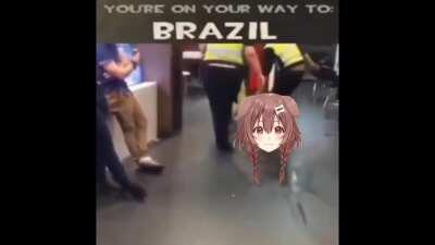 Korone goes to Brazil