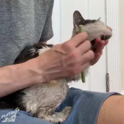 what a difference some love makes