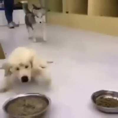 Era: probably the 90s, Genre: Gabber