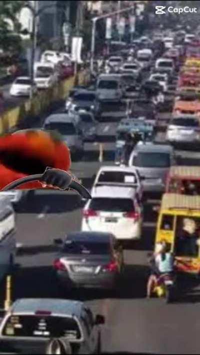 Driving in egypt be like 