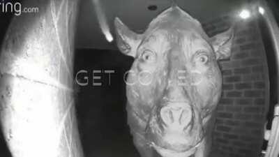 Keanu wholesome 100 🤩