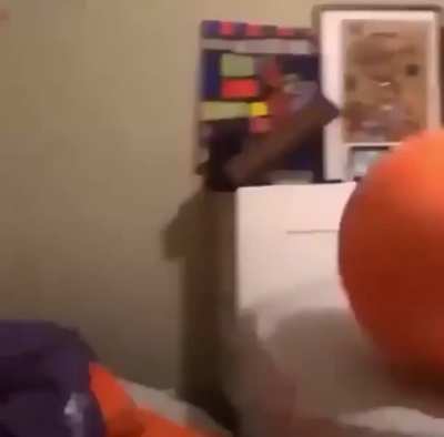 What did they expect?