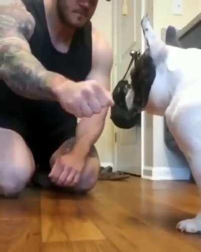 Нет, ну ты видел?!