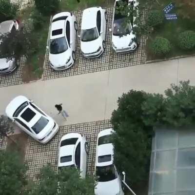 Someone doesn't need the driver's licence