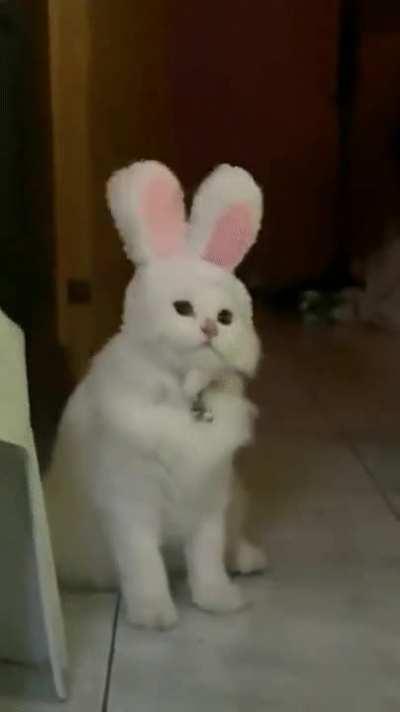 Hardware detected not supported