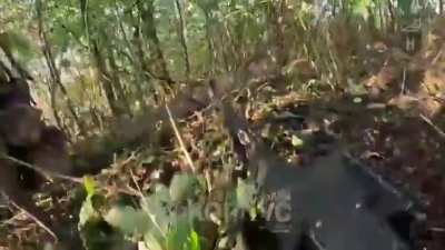 Ukrainian soldiers of the 2nd Mechanized Battalion of the 3rd Assault Brigade stormed a Russian position near Kapivka (Donetsk Oblast), repelled a Russian counterattack and captured enemy soldiers. Published 07.10.2025
