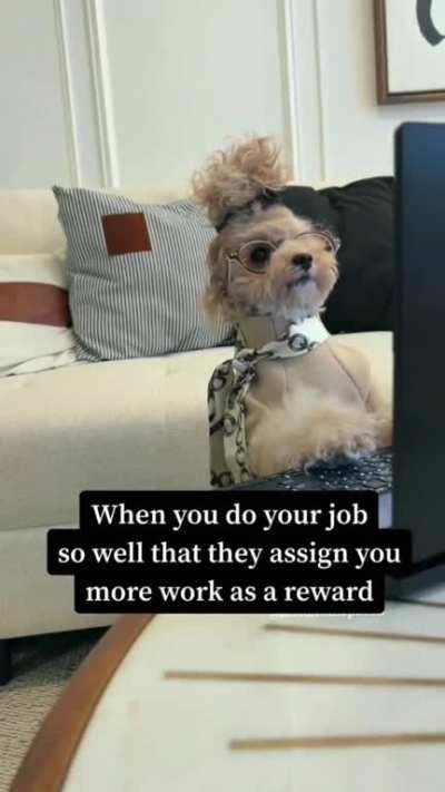 When you do your job so well they reward you by giving you extra work.