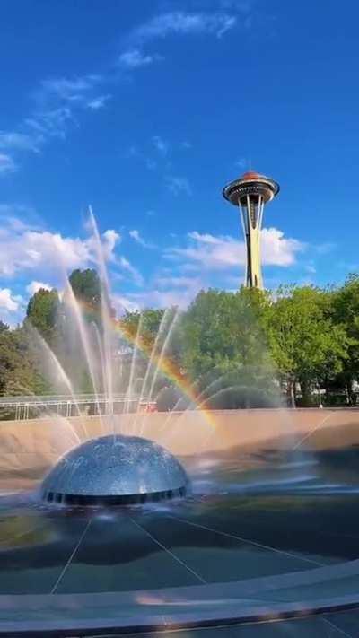 The rainbow conspiracy 