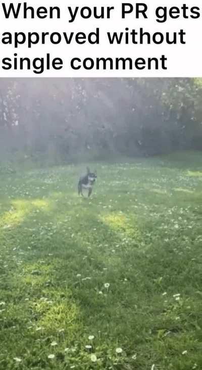 It happened guys, 3 months of development (100+ lines) got approved in one PR without a single comment.