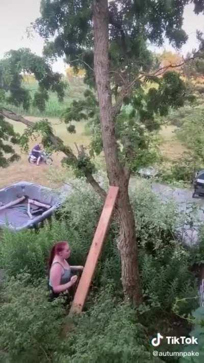 Cat magically attached itself to a wall