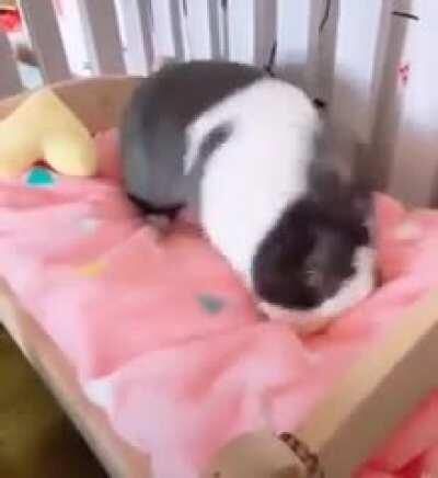 deGEnERaTe RAbbiT tAkEs dRUgS, c0nVuLseS,, aND fUCkiNg DiES