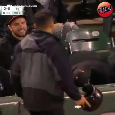 Catching a foul ball