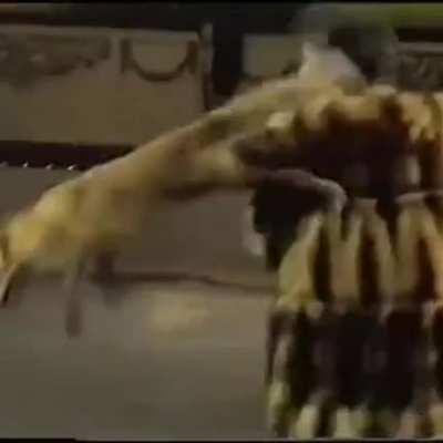 What in the everliving furcoat-fuckery did I just see?