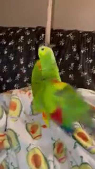 Katie going round and round