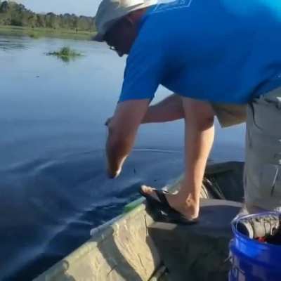 Ooh it’s gonna be a big one...