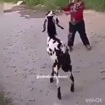 WCGW The little shit deserved it