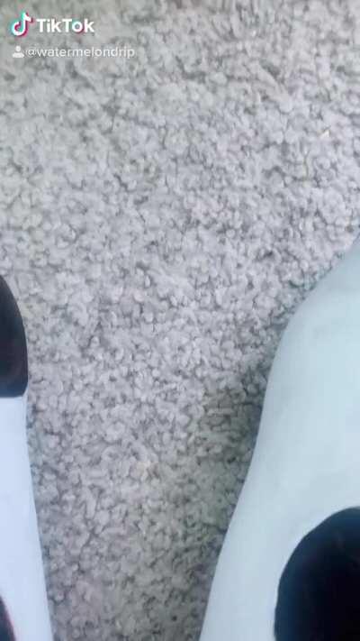 Bitch, I’m a cow 🐄 [oc]