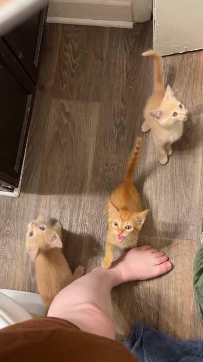 Prepare to lower your volume