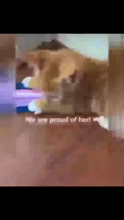 Sometimes... I wish I was an ape