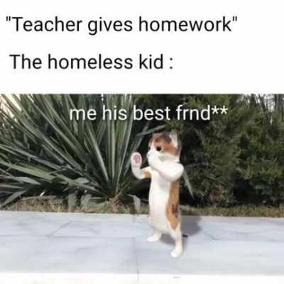 Wholesome meme for y'all