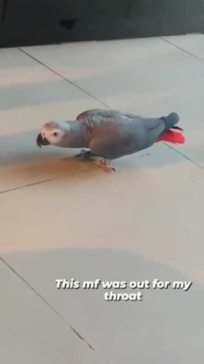 I was wrong about who he was going to fight...