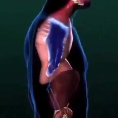 This is how rep makers get our shoes through customs