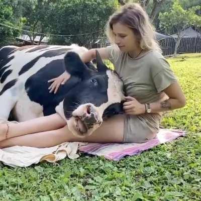 Sorry, it's not time for guitar