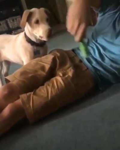 Hey that's not your toy