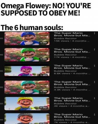 I am the koopa of this kingdom 