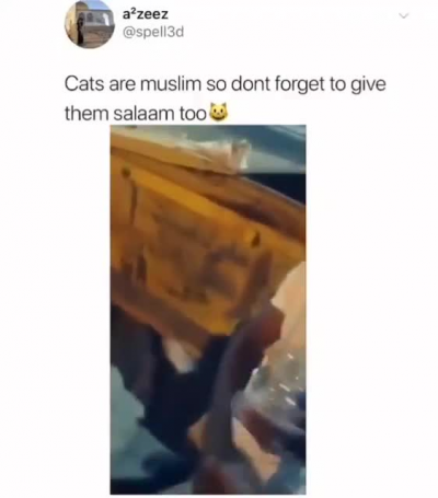 He’s Meowslim 😤 give him salaams. Press Y to give salaams