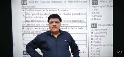 What do you guys think