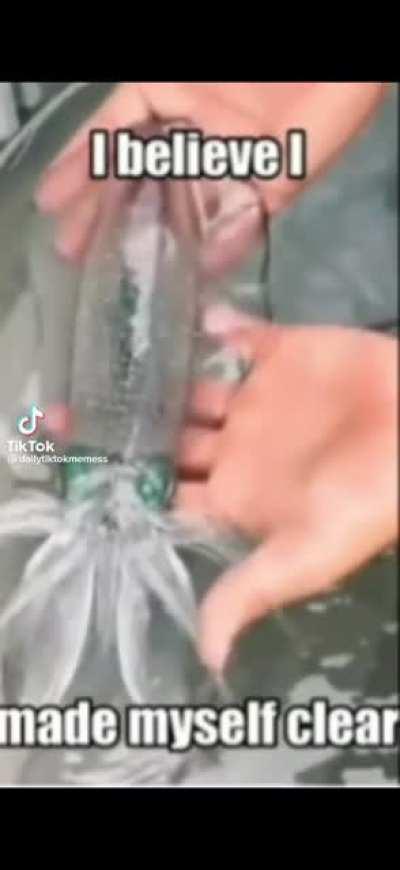 I believe I've made myself clear