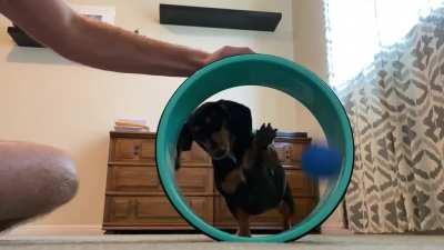 I have a big head and little arms