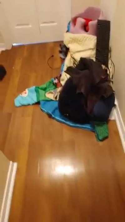 Kids decided to repaint the second floor