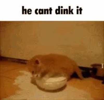 i have been laughing at this thing for like 10 minutes