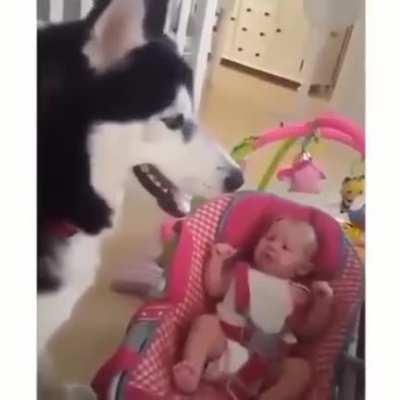 Take care of the baby and make the baby not cry, the salary is 2 sausages.