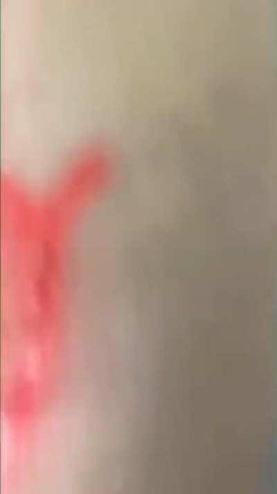 Birds aren't real...