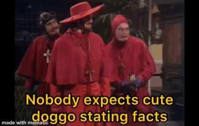 repost because bot kept removing