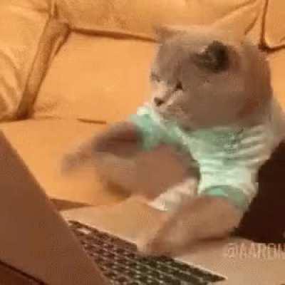 R* programmers quickly putting the island on the map before the update after realizing people expect it to be in freeroam